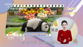 服部圭子在线